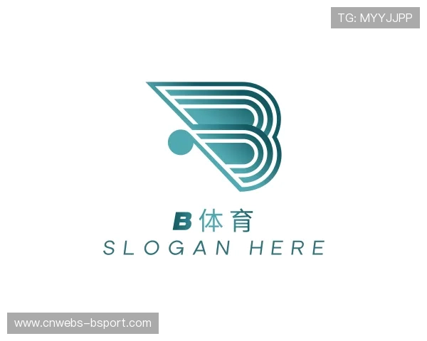 关于b体育公司